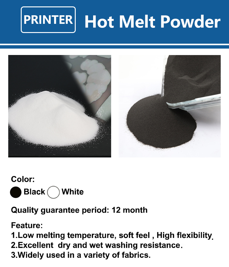 1000g 1kg DTF Powder Fine Powd - đánh giá và giá Dtf Printer Machine